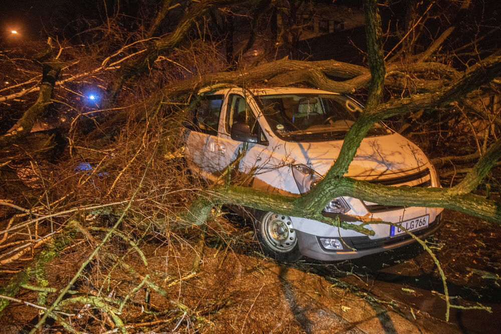 Sturmtote in Deutschland! Frau auf Parkplatz vom Baum erschlagen - Unwetter immer schlimmer!